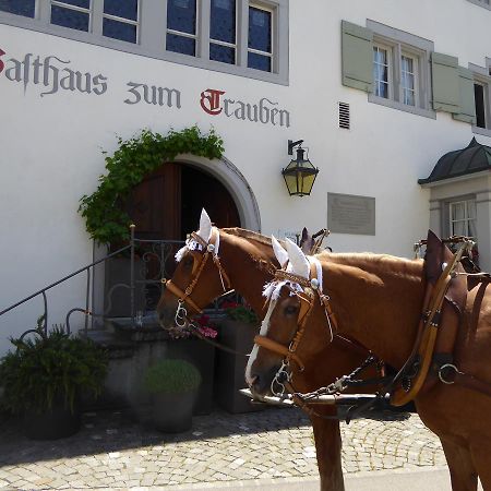 فندق فينفيلدنفي  Gasthaus Zum Trauben المظهر الخارجي الصورة