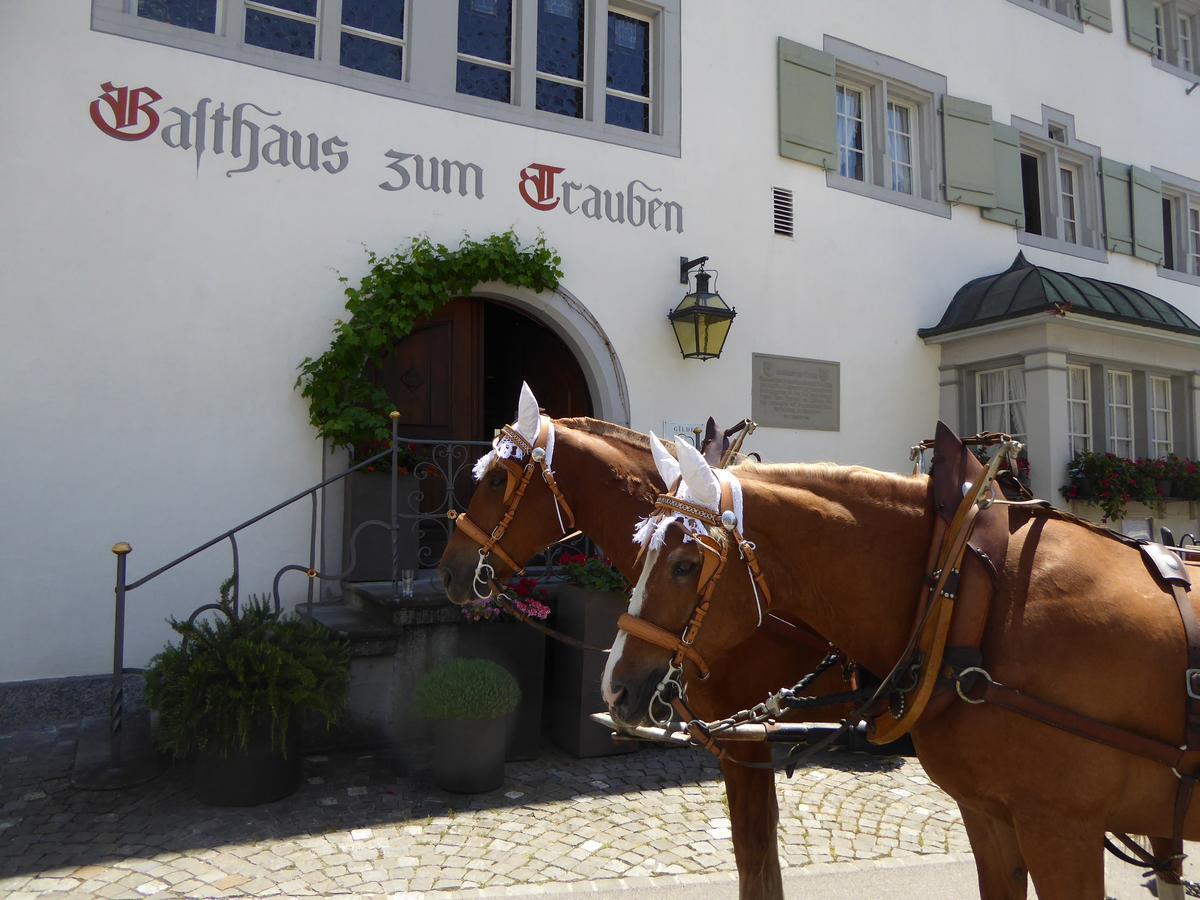 فندق فينفيلدنفي  Gasthaus Zum Trauben المظهر الخارجي الصورة